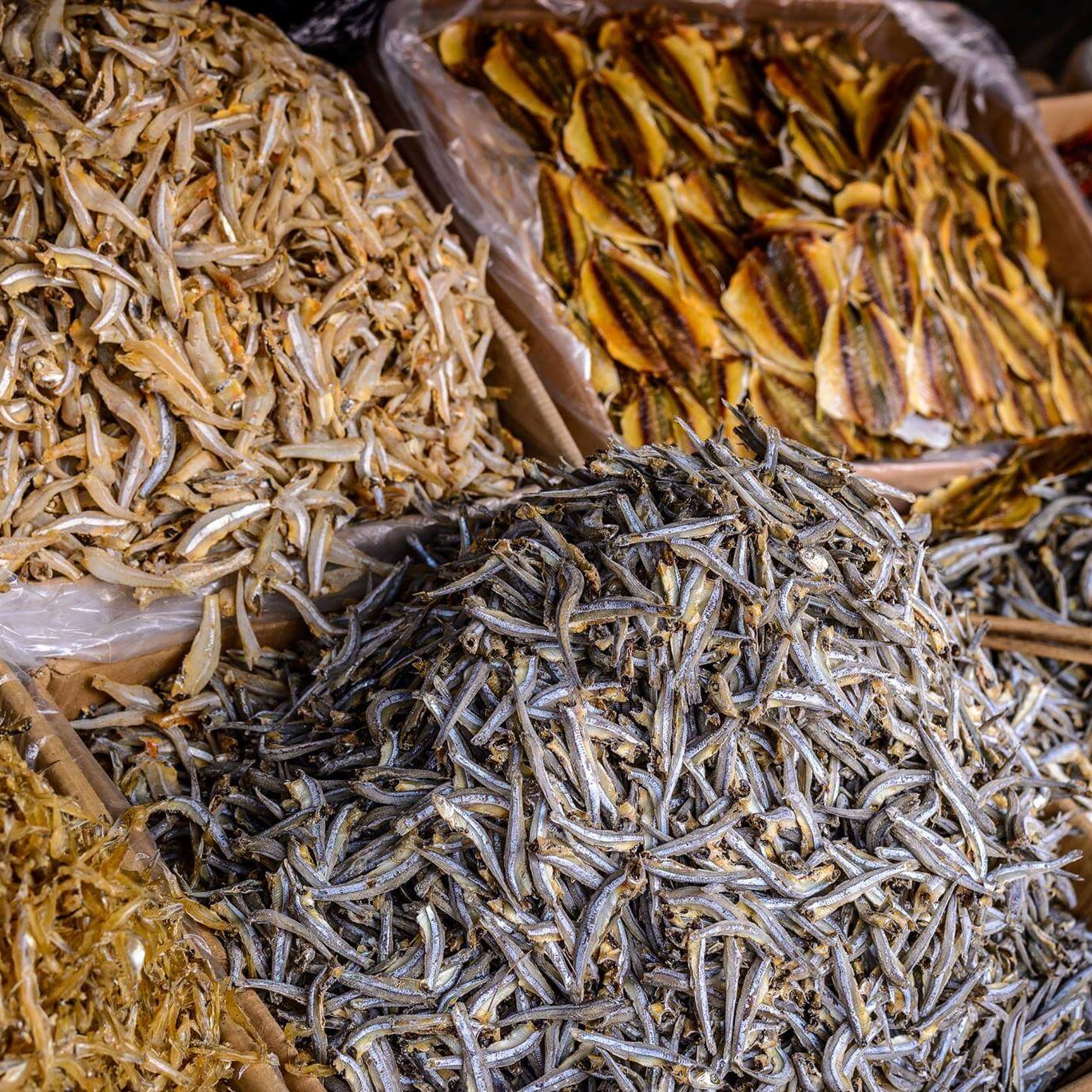 dried_frozen